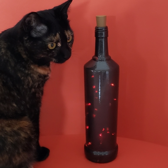 Textured Black Bottle & Red Bottle Lights ~ Dark Decor, Gothic, Valentine - Picture 2 of 5